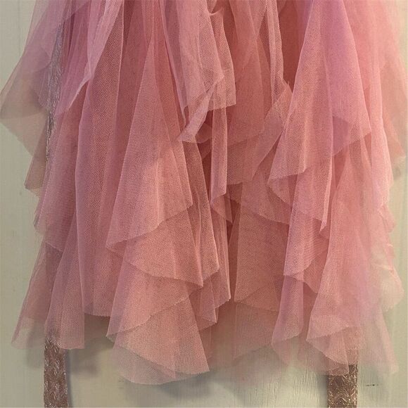 Biscotti Girls 4T Pink Tulle Ruffled Party Dress Sleeveless Knee Length - Picture 8 of 12